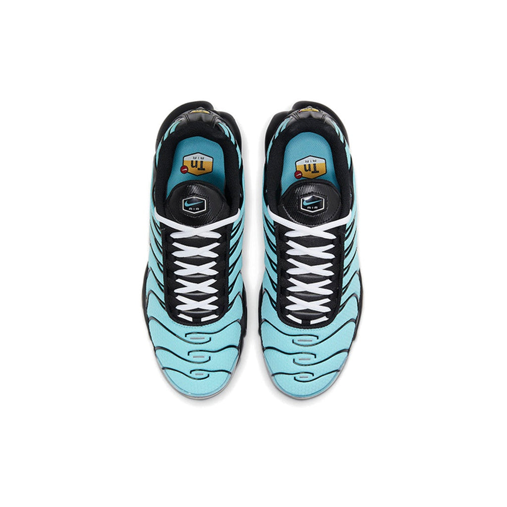 Nike Air Max Plus Aqua Blue