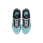 Nike Air Max Plus Aqua Blue